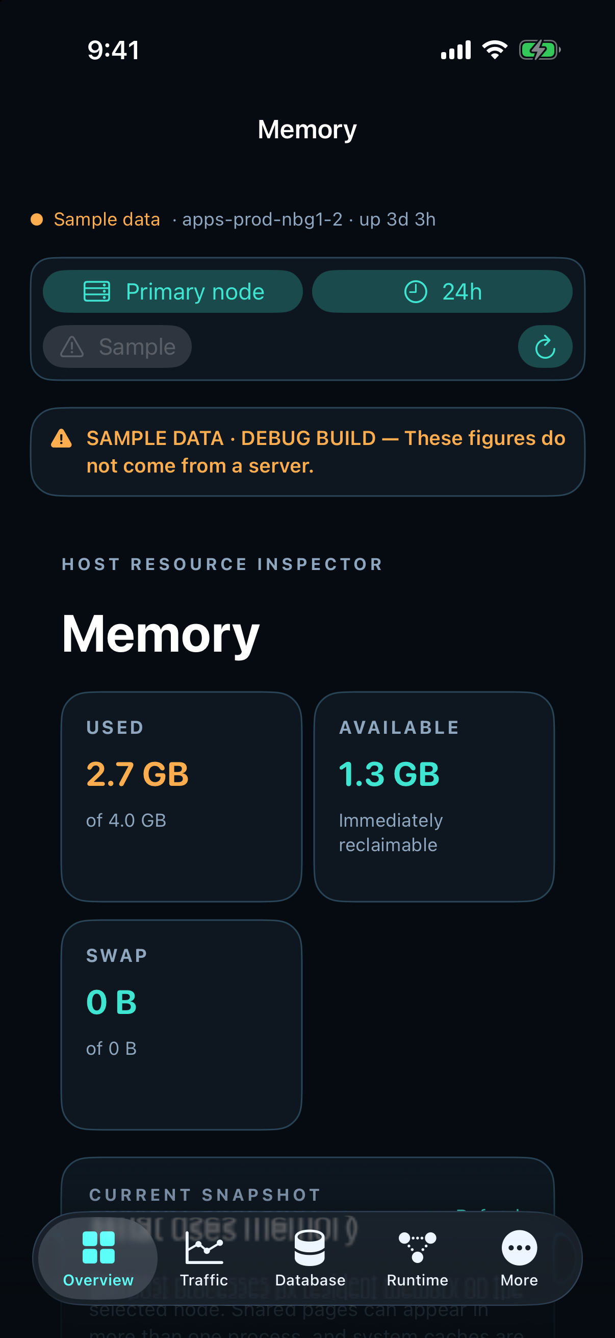 Hostwatch iPhone Memory inspector showing labeled sample memory figures
