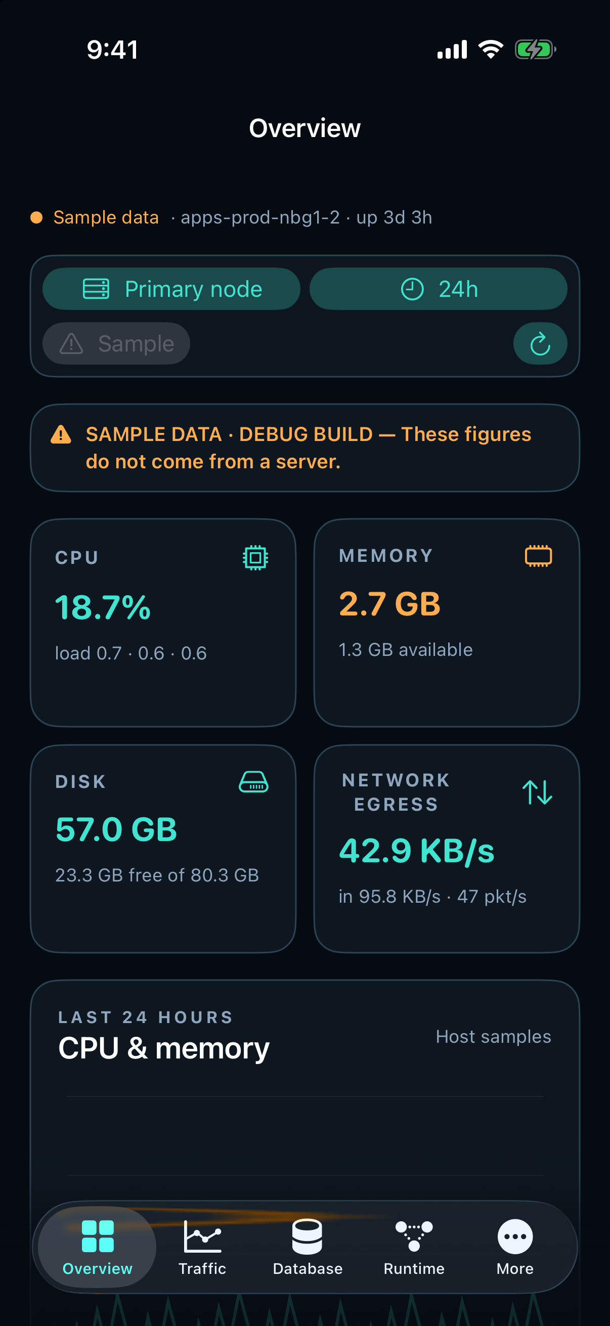 Hostwatch iPhone overview, sample data from a debug build